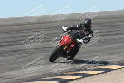 media/Oct-13-2025-Moto Forza (Mon) [[a66d839500]]/4-C Group/Session 2 (Bowl)/